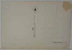 AT ARABASINDA GEZEN GELİN VE DAMAT KARTPOSTALI,ARKASINA YAZILMAMIŞ,RENKLİ, 11 X 15 CM EBADINDA