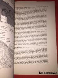 Hormonal Control in Vertebrates - B.E. Frye - The Macmillan Company - İngilizce Kitap (Omurgalılarda Hormonal Kontrol)