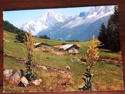 ŞEHİR KARTPOSTALI, FRANSA'DAN MUHTEŞEM BİR DAĞ VE YAYLA MANZARASI, ARKASI YAZILI, RENKLİ, 11 X 15 CM EBADINDA - 1940'LAR, 1950'LER, 1960'LAR, 1970'LER 1980'LER