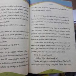 Ömer Seyfettin' den Hikayeler  3-4-5.sınıf seviye 10 kitap