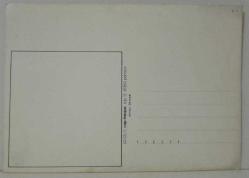 BİSİKLET ÜSTÜNDE SARILAN ÇİFT KARİKATÜRÜ KARTPOSTALI,ARKASINA YAZILMAMIŞ,RENKLİ, 12 X 17 CM EBADINDA