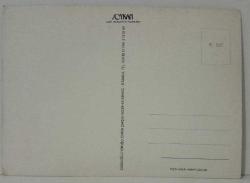 DAĞLAR YEŞİLLİK ÜSTÜNE KURULMUŞ EV VE ÖNÜNE YAZILMIŞ BAYRAM KUTLAMA MESAJI KARTPOSTALI,ARKASINA YAZILMAMIŞ,RENKLİ, 12 X 17 CM EBADINDA