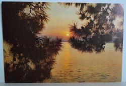 GÜNBATIMINDA DENİZ VE DİKEN YAPRAKLI AĞAÇLAR KARTPOSTALI,ARKASINA YAZILMIŞ,RENKLİ, 11 X 15 CM EBADINDA