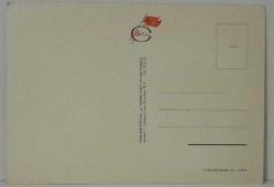 AŞKIN SEVGİNİN GÜZELLİĞİN SİMGESİ GÜL KARTPOSTALI,ARKASINA YAZILMAMIŞ,RENKLİ, 11 X 15 CM EBADINDA