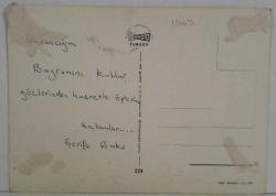 AŞKIN SEVGİNİN VE GÜZELLİĞİN SİMGESİ GÜL KARTPOSTALI,ARKASINA YAZILMIŞ,RENKLİ, 11 X 15 CM EBADINDA