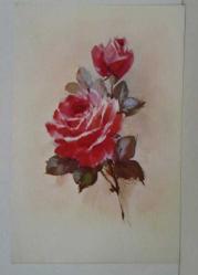 AŞKIN SEVGİNİN VE GÜZELLİĞİN SİMGESİ GÜL KARTPOSTALI,ARKASINA YAZILMIŞ,RENKLİ, 11 X 15 CM EBADINDA