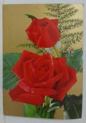 AŞKIN SEVGİNİN VE GÜZELLİĞİN SİMGESİ GÜL KARTPOSTALI,ARKASINA YAZILMIŞ,RENKLİ, 11 X 15 CM EBADINDA