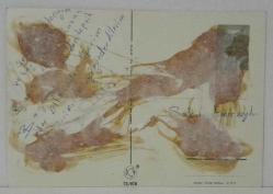 SEVGİ TEMALI AİLE KARTPOSTALI,ARKASINA YAZILMIŞ,RENKLİ, 11 X 15 CM EBADINDA