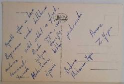 YEMYEŞİL ÇİMENLER ÜSTÜNDE OTLAYAN KOYUNLAR KARTPOSTALI,ARKASINA YAZILMIŞ,RENKLİ, 11 X 15 CM EBADINDA