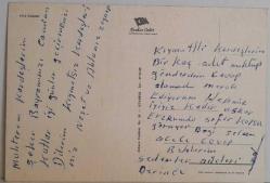 YEMYEŞİL ÇİMENLER ÜSTÜNDE OTLAYAN KOYUNLAR KARTPOSTALI,ARKASINA YAZILMIŞ,RENKLİ, 11 X 15 CM EBADINDA