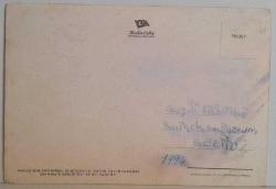 BALO ELBİSESİ GİYMİŞ ŞEMPANZE KARTPOSTALI,ARKASINA YAZILMIŞ,RENKLİ, 11 X 15 CM EBADINDA