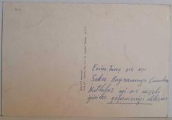 YEMYEŞİL ÇİMENLER ÜSTÜNDE OTLAYAN KOYUNLAR KARTPOSTALI,ARKASINA YAZILMIŞ,RENKLİ, 11 X 15 CM EBADINDA