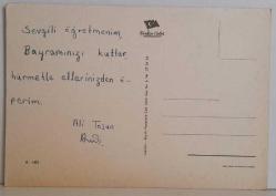 MİNİK TATLI KEDİ YAVRUSU KARTPOSTALI,ARKASINA YAZILMIŞ,RENKLİ, 11 X 15 CM EBADINDA