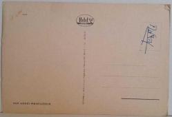 MİNİK TATLI KEDİ YAVRUSU KARTPOSTALI,ARKASINA YAZILMIŞ,RENKLİ, 11 X 15 CM EBADINDA