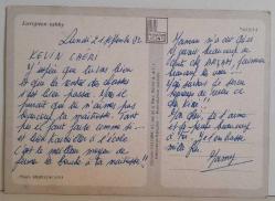 MİNİK TATLI KEDİ YAVRUSU KARTPOSTALI,ARKASINA YAZILMIŞ,RENKLİ, 11 X 15 CM EBADINDA