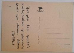 MİNİK TATLI KEDİ YAVRUSU KARTPOSTALI,ARKASINA YAZILMIŞ,RENKLİ, 11 X 15 CM EBADINDA