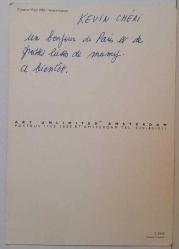 MİNİK TATLI KEDİ YAVRUSU KARTPOSTALI,ARKASINA YAZILMIŞ,RENKLİ, 11 X 15 CM EBADINDA