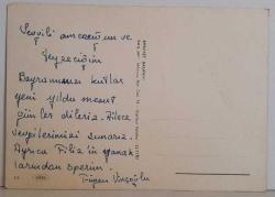 MİNİK TATLI KEDİ YAVRUSU KARTPOSTALI,ARKASINA YAZILMIŞ,RENKLİ, 11 X 15 CM EBADINDA