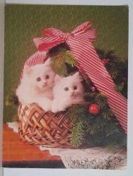 SEPETİN İÇİNDE DURAN MİNİK TATLI YAVRU KEDİLER KARTPOSTALI,KAPAKLI,ARKASINA YAZILMIŞ,RENKLİ, 13 X 17 CM EBADINDA