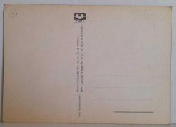 BÜYÜK BOYNUZLU KABARIK TÜYLÜ KOÇ KARTPOSTALI,ARKASINA YAZILMAMIŞ,RENKLİ, 11 X 15 CM EBADINDA