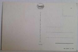 BÜYÜK BOYNUZLU KABARIK TÜYLÜ KOÇ KARTPOSTALI,ARKASINA YAZILMAMIŞ,RENKLİ, 11 X 15 CM EBADINDA