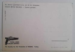 ANNE LEYLEK YUMURTALARININ YANINDA KARTPOSTALI,ARKASINA YAZILMAMIŞ,RENKLİ, 11 X 15 CM EBADINDA