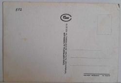 MİNİK TATLI KEDİ YAVRUSU KARTPOSTALI,ARKASINA YAZILMAMIŞ,RENKLİ, 11 X 15 CM EBADINDA