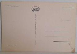 YEMYEŞİL ÇİMENLERDE OTLAYAN KOYUNLAR KARTPOSTALI,ARKASINA YAZILMAMIŞ,RENKLİ, 11 X 15 CM EBADINDA