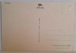 YEMYEŞİL ÇİMENLERDE OTLAYAN KOYUNLAR KARTPOSTALI,ARKASINA YAZILMAMIŞ,RENKLİ, 11 X 15 CM EBADINDA