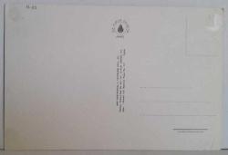 BÜYÜK BOYNUZLU VE KABARIK TÜYLÜ KOÇLAR KARTPOSTALI,ARKASINA YAZILMAMIŞ,RENKLİ, 11 X 15 CM EBADINDA