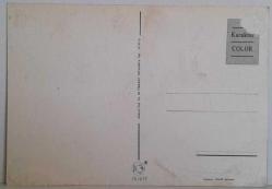 KARLAR ARASINDA OTLAYAN KOYUNLAR KARTPOSTALI,ARKASINA YAZILMAMIŞ,RENKLİ, 11 X 15 CM EBADINDA