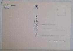 ÖNÜNDE '' ÂNON DE DIEU JE SUIS ABANDONNE'' YAZAN EŞEK KARTPOSTALI,ARKASINA YAZILMAMIŞ,RENKLİ, 11 X 15 CM EBADINDA