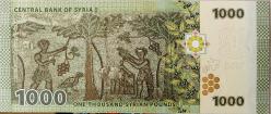 SURİYE 1000 Pound, 2013 ÇİL