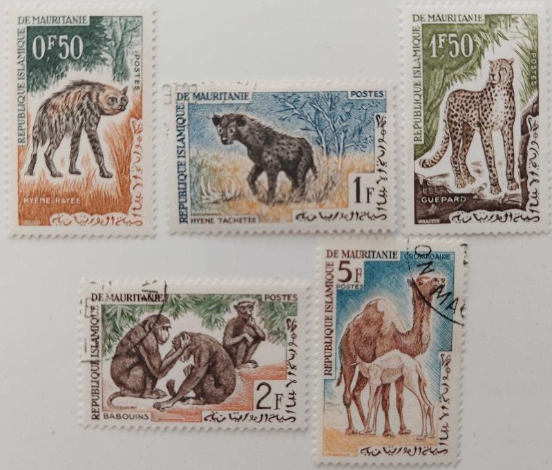 ESKİ DÖNEM MORİTANYA NESLİ AZALAN ... ESKİ DÖNEM MORİTANYA NESLİ AZALAN ...