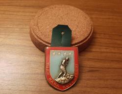 ESKİ - TÜRK KARA KUVVETLERİ ASKERİ BRÖVE - ROZET- MADALYA B9692