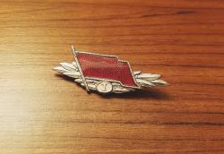 DOĞU ALMANYA KOMÜNİST DÖNEMİ ASKERİ ROZET - BRÖVE - MADALYA B9768