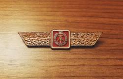 DOĞU ALMANYA KOMÜNİST DÖNEMİ ASKERİ BRÖVE - MADALYA - ROZET B9778