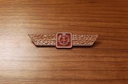 DOĞU ALMANYA KOMÜNİST DÖNEMİ ASKERİ BRÖVE - MADALYA - ROZET B9778