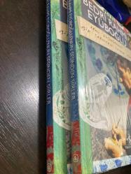 Seni düşünürken bir çakıltaşı ısınır içimde