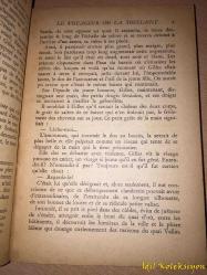 Le Voyageur De La Toussaint - Georges Simenon - Librarie Gallimard - Fransızca Kitap (Azizlerin Yolcusu )