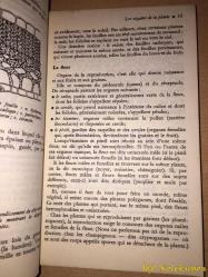 Le Guide Pratique Des Jardins - J.C. Van Der Steen - Editions Gerard - Fransızca Kitap (Bahçeler İçin Pratik Rehber)