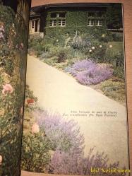 Le Guide Pratique Des Jardins - J.C. Van Der Steen - Editions Gerard - Fransızca Kitap (Bahçeler İçin Pratik Rehber)