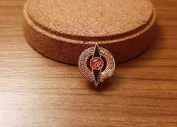 DOĞU ALMANYA KOMÜNİST DÖNEMİ  ROZETİ - MADALYA B9799