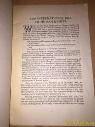 The International Bill of Human Rights - United Nations - İngilizce Kitap (Uluslararası İnsan Hakları Bildirgesi)