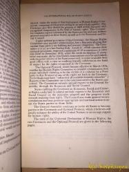 The International Bill of Human Rights - United Nations - İngilizce Kitap (Uluslararası İnsan Hakları Bildirgesi)