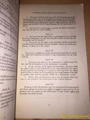 The International Bill of Human Rights - United Nations - İngilizce Kitap (Uluslararası İnsan Hakları Bildirgesi)