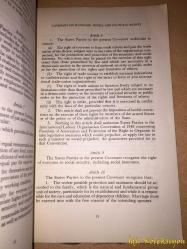 The International Bill of Human Rights - United Nations - İngilizce Kitap (Uluslararası İnsan Hakları Bildirgesi)