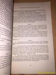 The International Bill of Human Rights - United Nations - İngilizce Kitap (Uluslararası İnsan Hakları Bildirgesi)