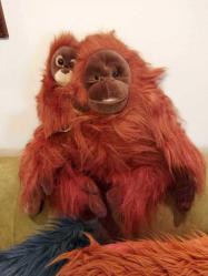NATİONAL GEOGRAPHİC 2006 YAPIMI VİNTAGE ORANGUTAN ANNE VE BEBEK PELUŞ OYUNCAK FİGÜR BİBLO BEBEK 35 X 50 CM