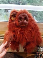 NATİONAL GEOGRAPHİC 2006 YAPIMI VİNTAGE ORANGUTAN ANNE VE BEBEK PELUŞ OYUNCAK FİGÜR BİBLO BEBEK 35 X 50 CM
